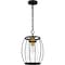 Quoizel Thyme Outdoor Mini Pendant 1 Light Earth Black THY1511EK - alternate 2